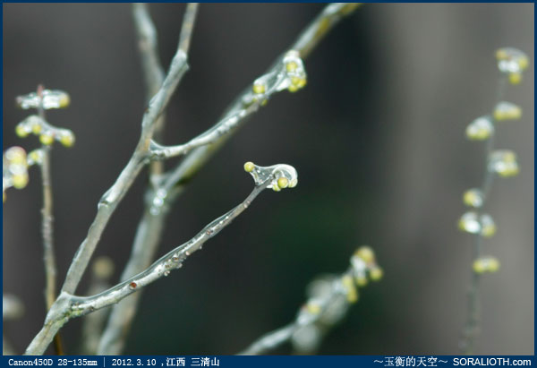 江西三清山