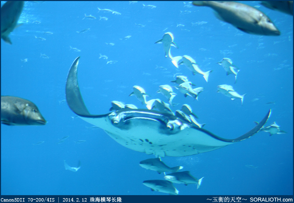 长隆海洋王国