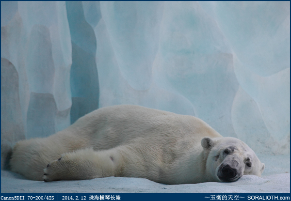 长隆海洋王国